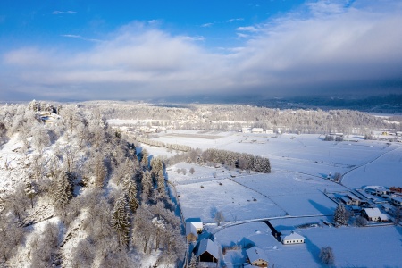 Blick über den Tierparkberg