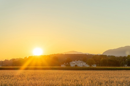 Sommer in Rosegg