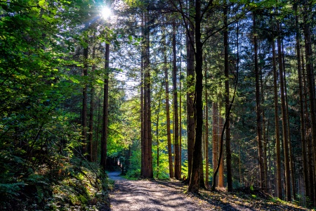 Wanderung Dreiländereck